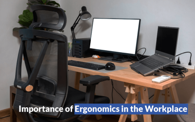 Importance of Workplace Ergonomic Assessment